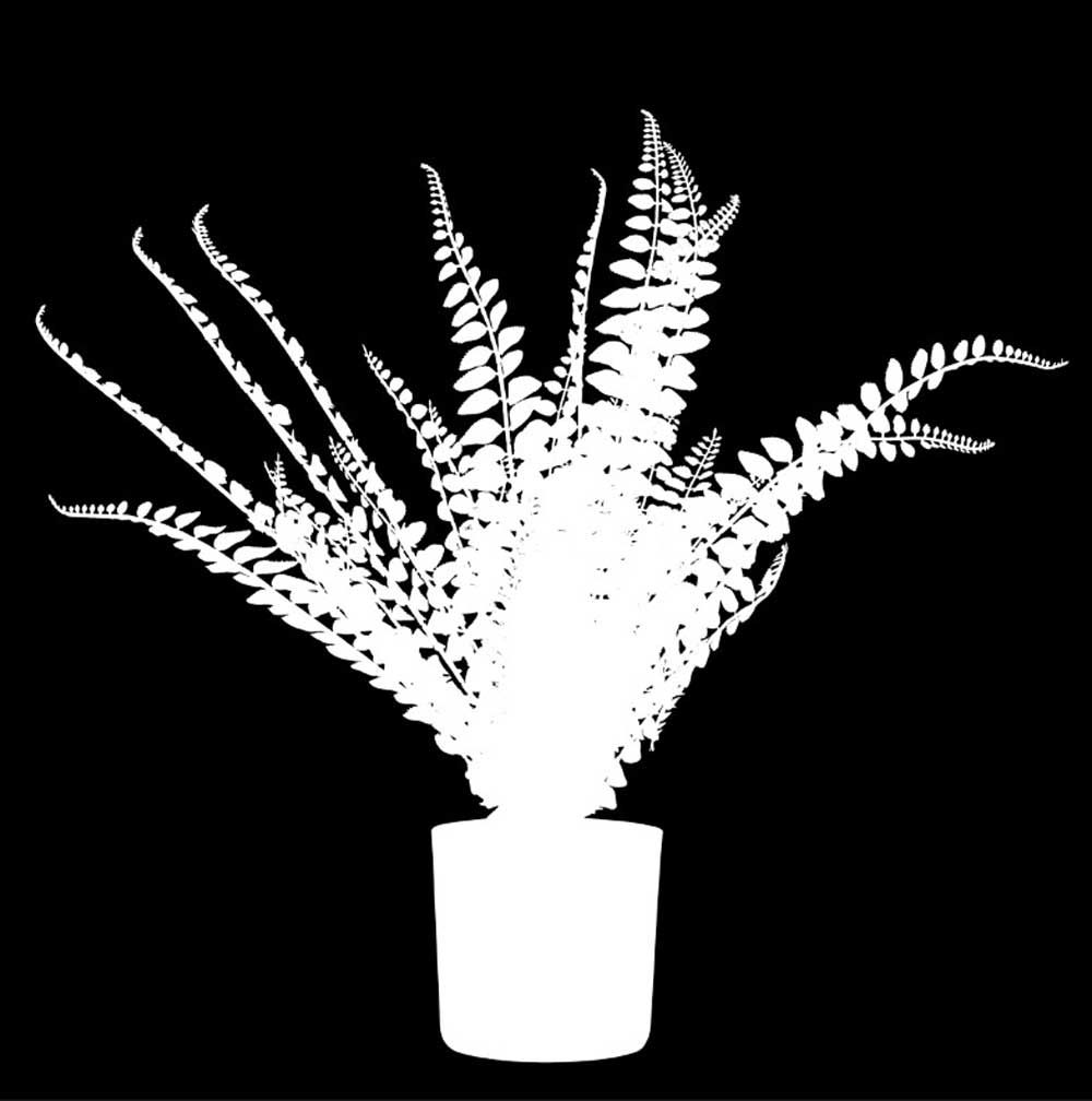 Image Masking Service 20