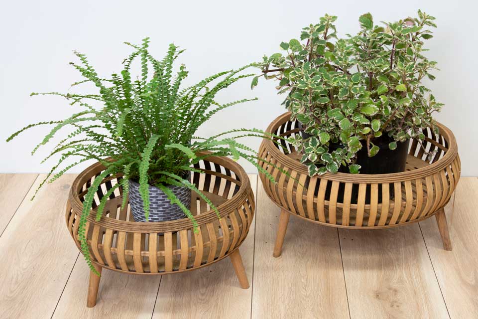 Background Removal Service 2