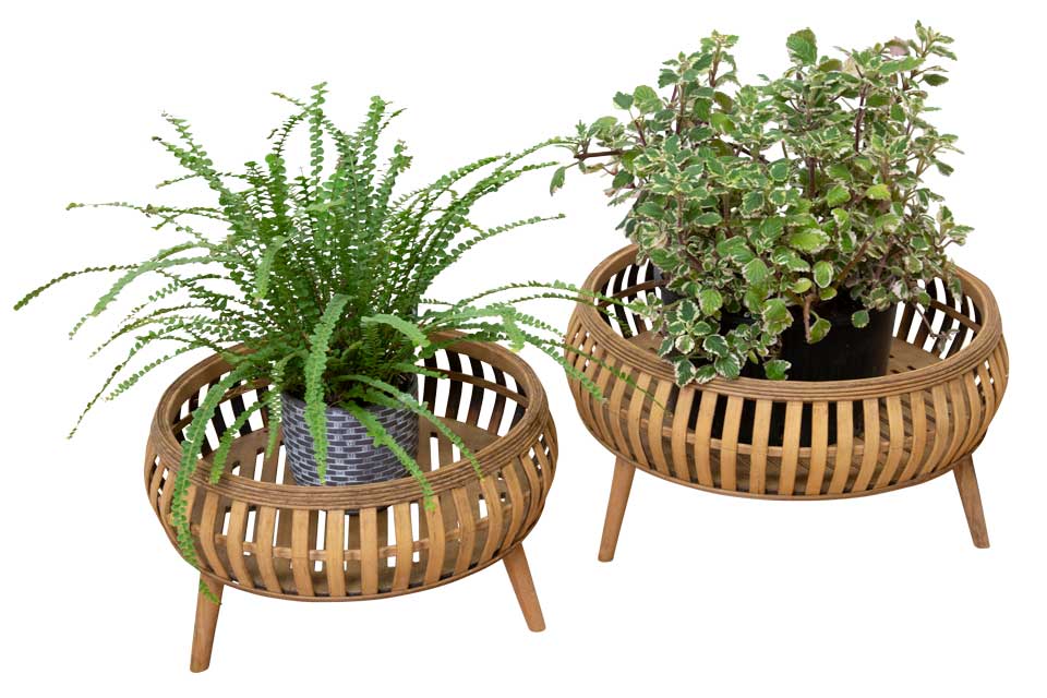 Background Removal Service 3