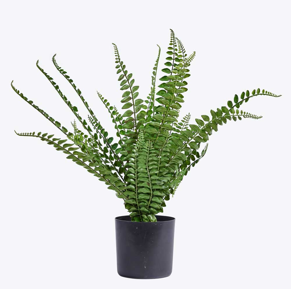 Image Masking Service 21