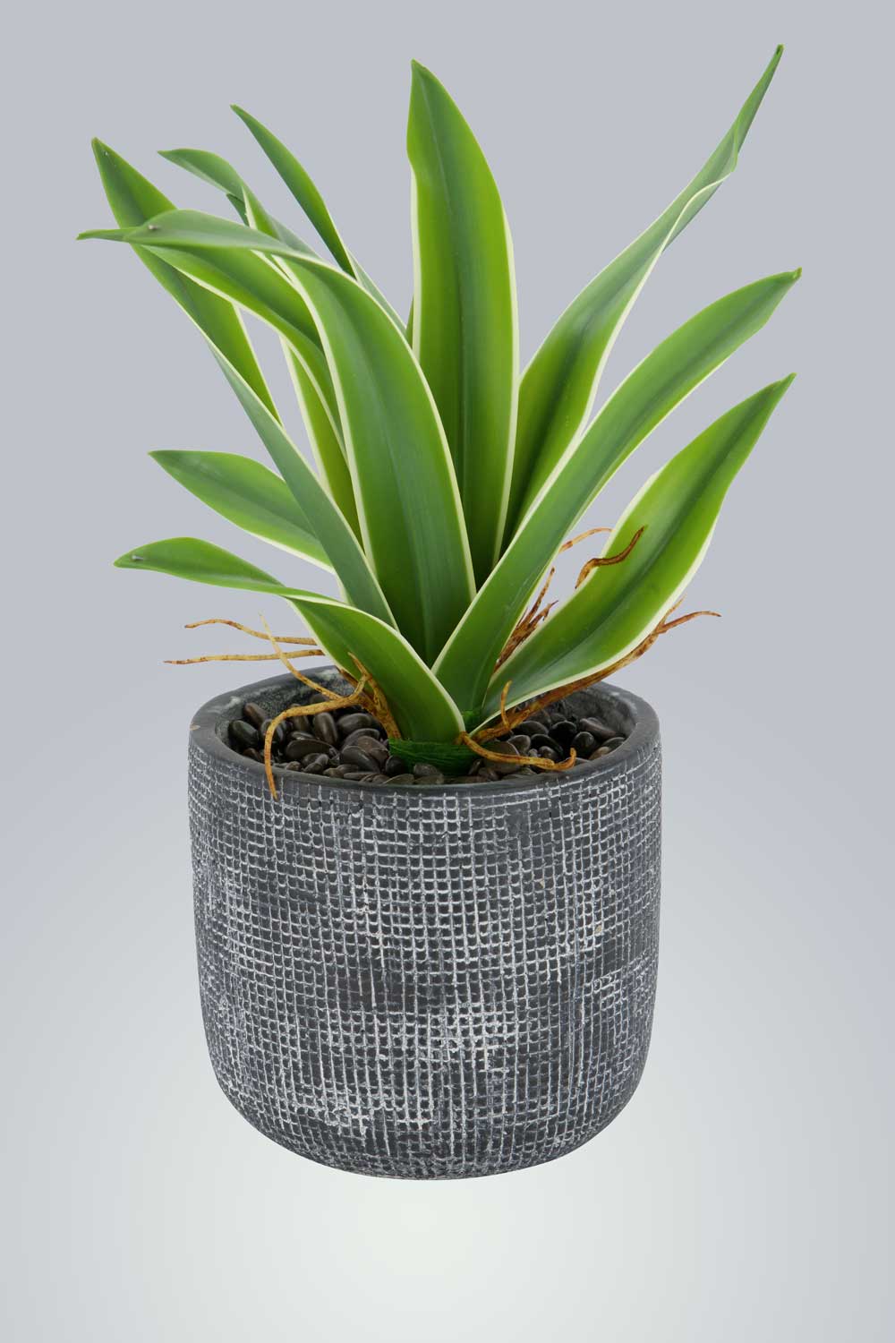 Photo Retouching Services 24