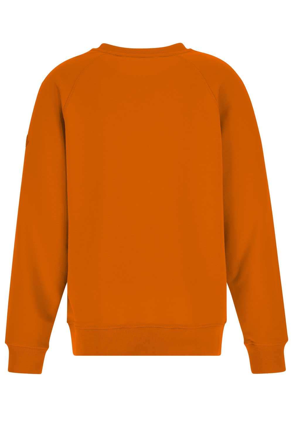 Color Correction Service 4