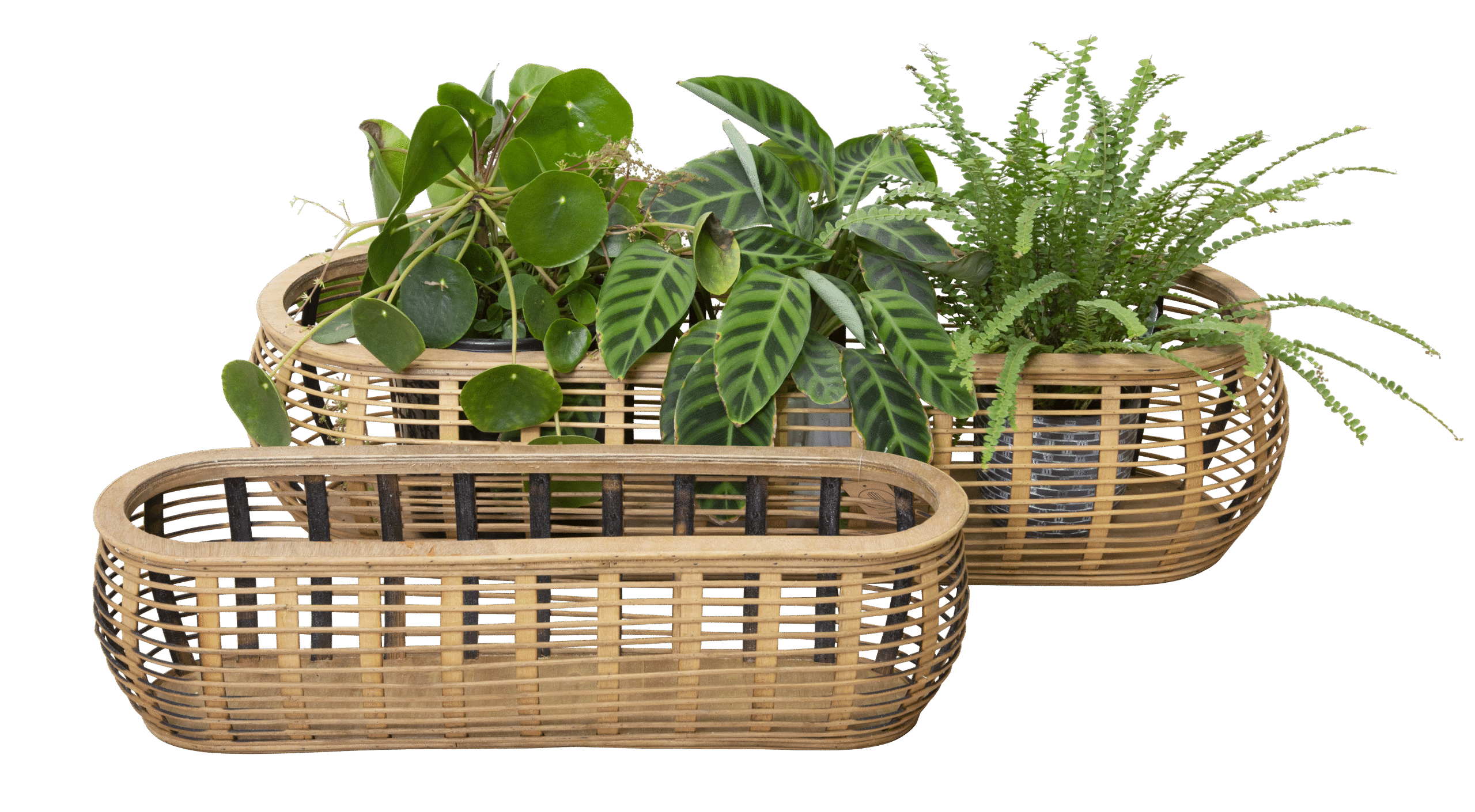 Background Removal Service 13