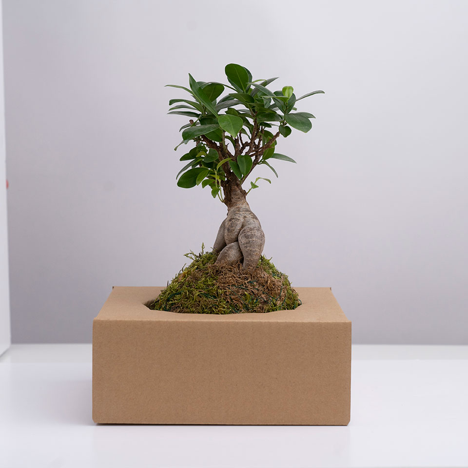 Image Masking Service 40