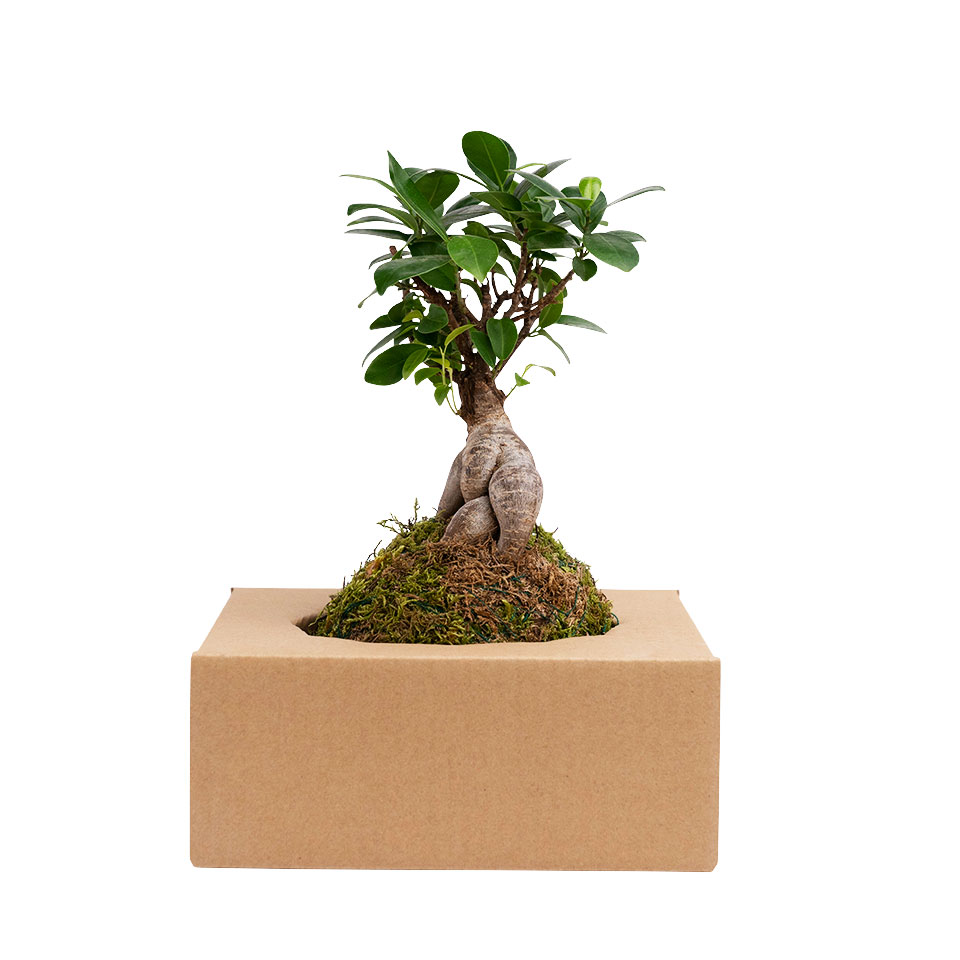 Image Masking Service 41